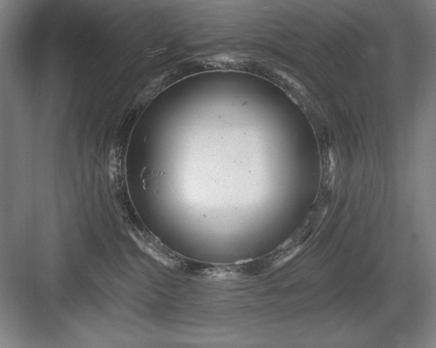 X0000082980284200702160006