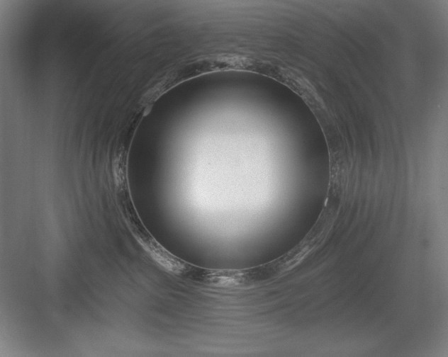 X0000082980285200702160006