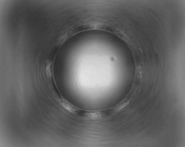 X0000082980286200702160006