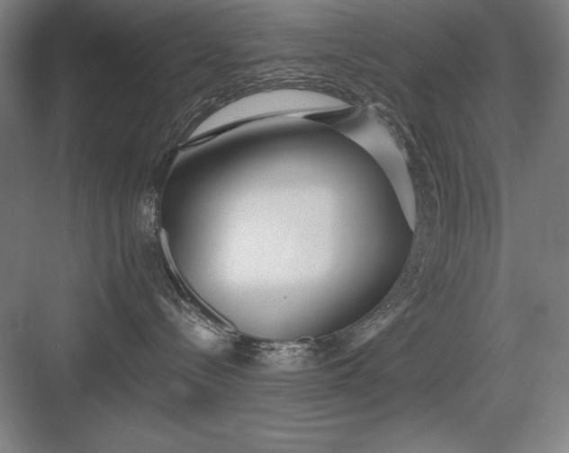 X0000082980288200702160006