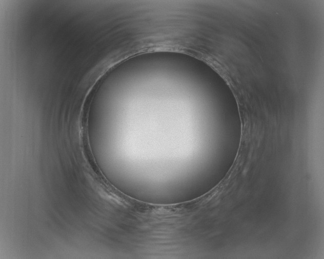 X0000082980290200702160005