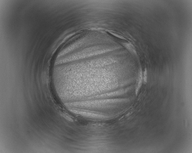 X0000082980291200702160005