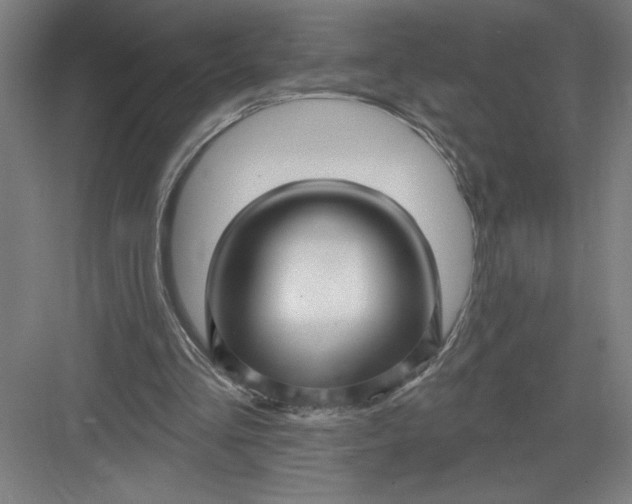 X0000082980293200702160005