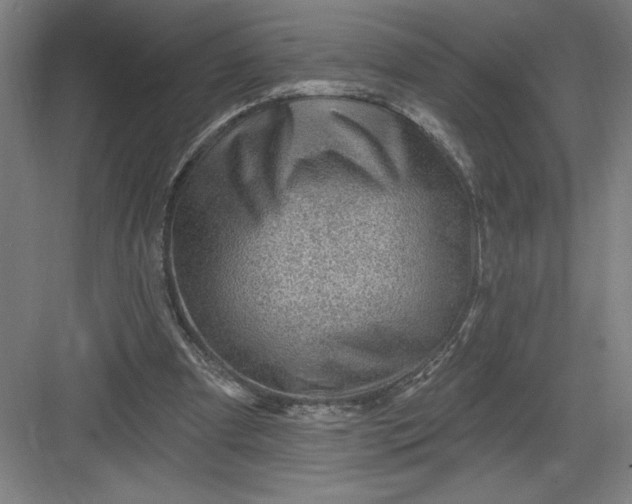 X0000082980297200702160005