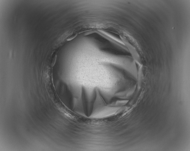 X0000082980305200702160005