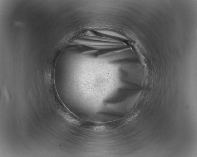 X0000082980309200702160004