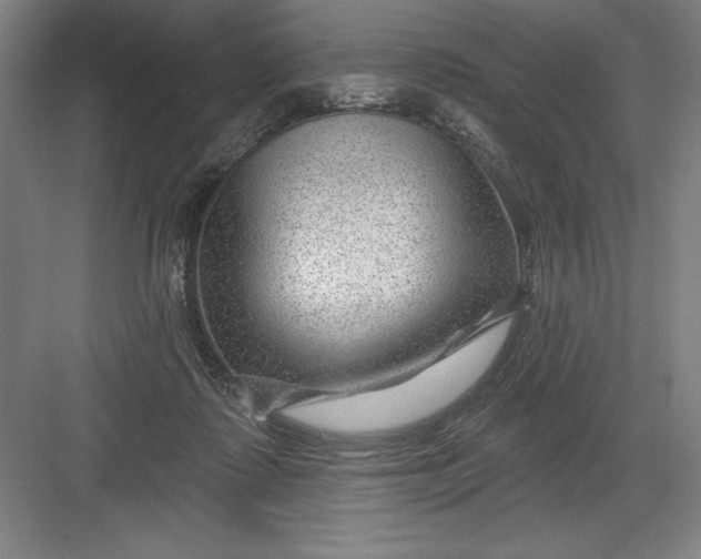 X0000082980315200702160004