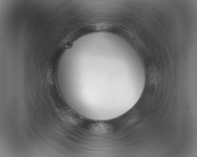 X0000082980316200702160004