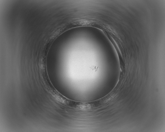 X0000082980317200702160004