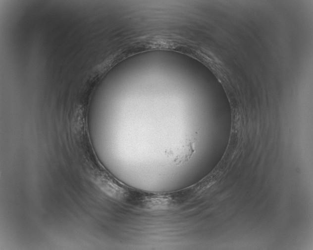 X0000082980318200702160004