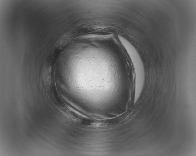 X0000082980319200702160004