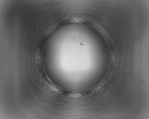 X0000082980322200702160004