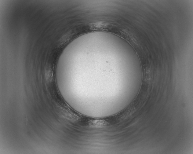 X0000082980324200702160004