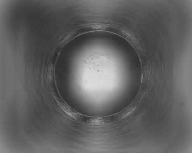 X0000082980325200702160004