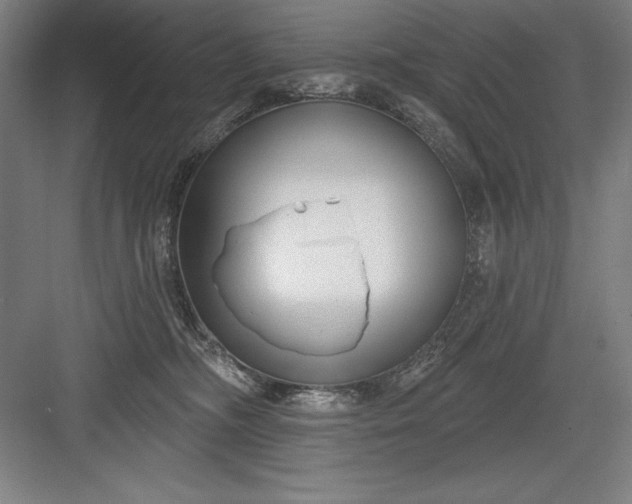 X0000082980326200702160004