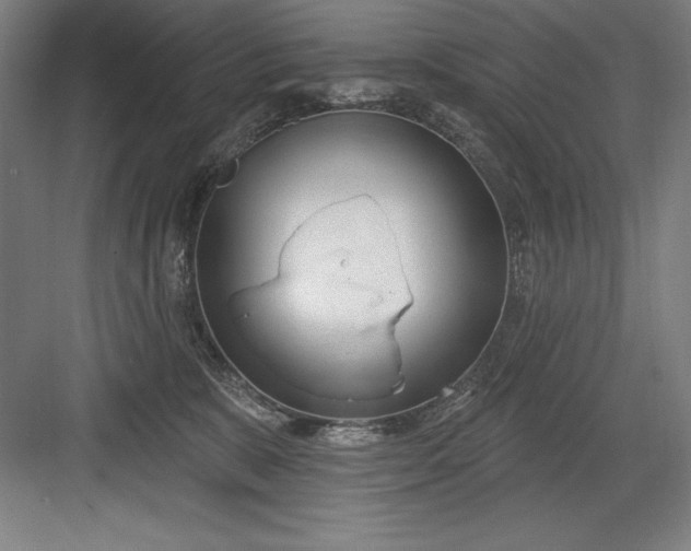 X0000082980327200702160004