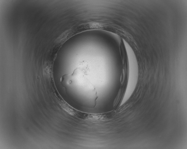 X0000082980329200702160004