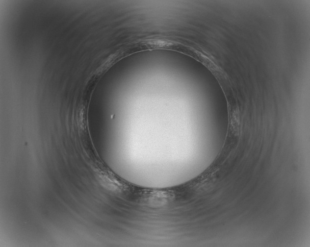 X0000082980330200702160004