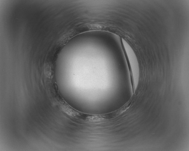 X0000082980331200702160004
