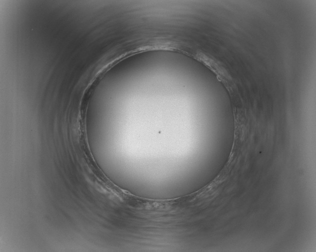 X0000082980338200702160003