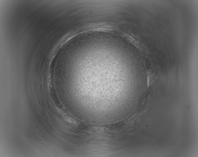 X0000082980339200702160003