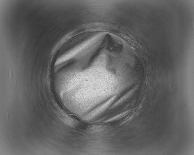 X0000082980341200702160003
