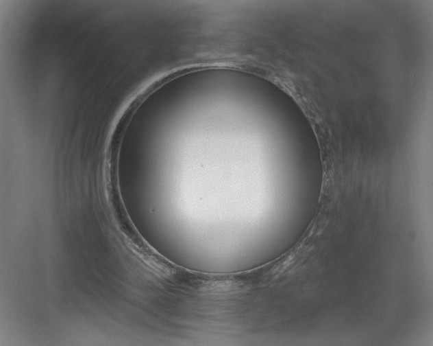 X0000082980342200702160003