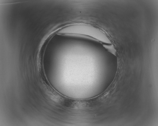 X0000082980343200702160003