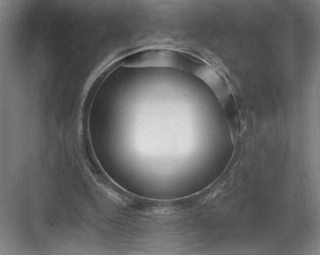X0000082980344200702160003