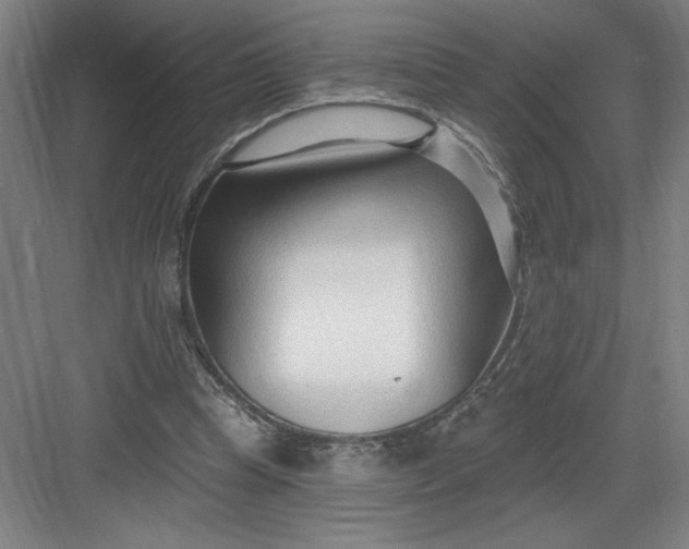 X0000082980345200702160003