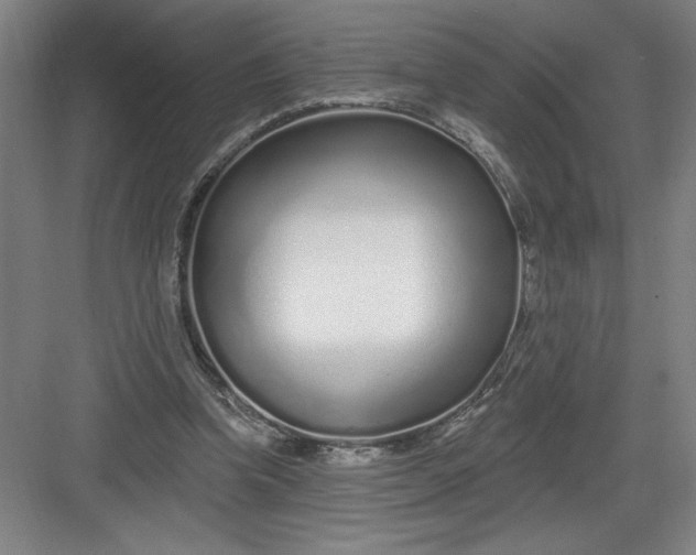 X0000082980346200702160003