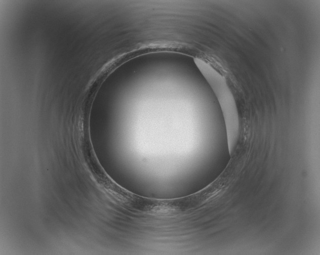 X0000082980348200702160003