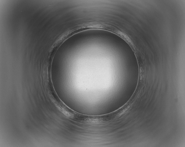 X0000082980349200702160003