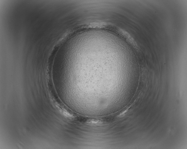 X0000082980354200702160003