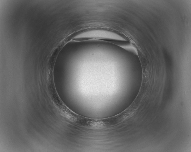 X0000082980355200702160003