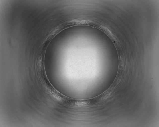 X0000082980357200702160004