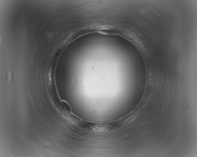 X0000082980358200702160004