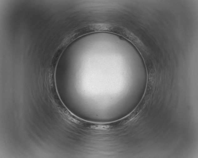 X0000082980359200702160004