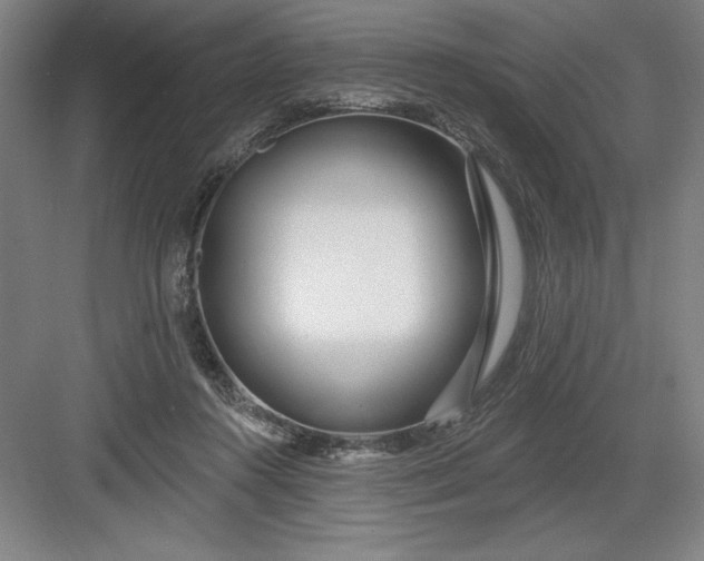 X0000082980360200702160004