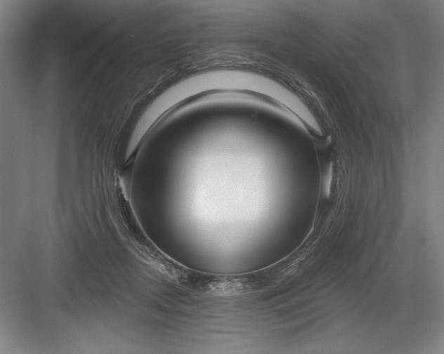 X0000082980362200702160004