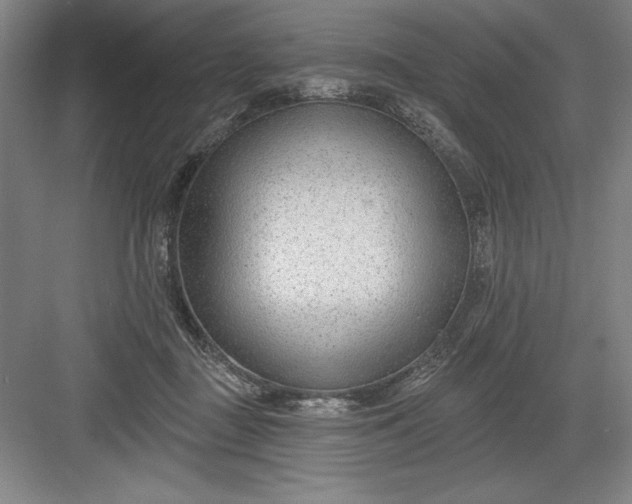 X0000082980363200702160004