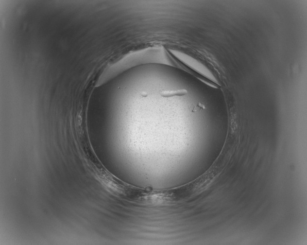 X0000082980365200702160004
