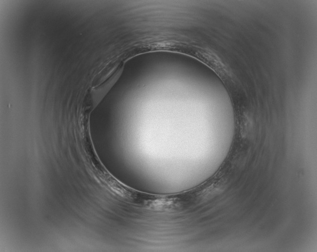 X0000082980366200702160004