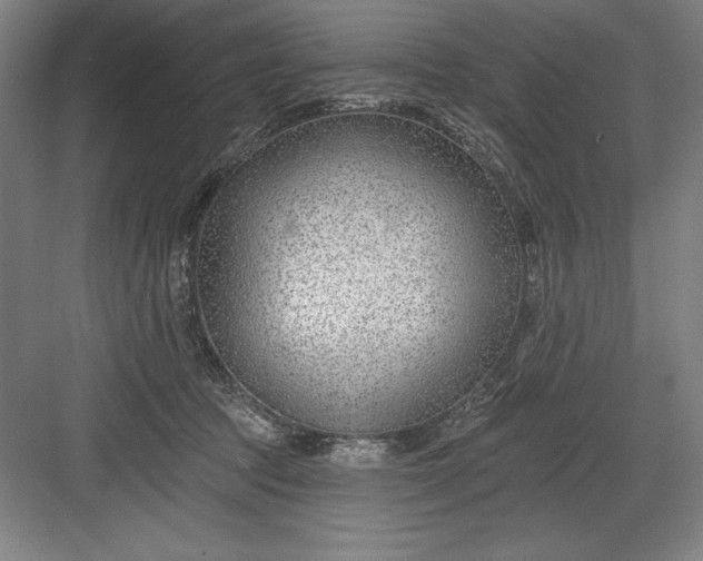 X0000082980369200702160004