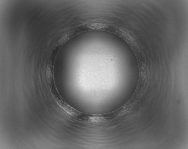 X0000082980371200702160004