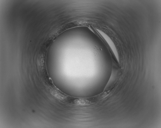 X0000082980372200702160004