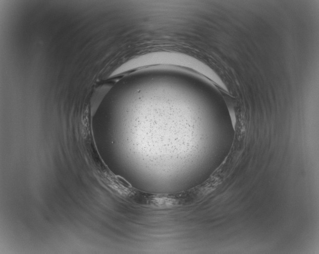 X0000082980376200702160004