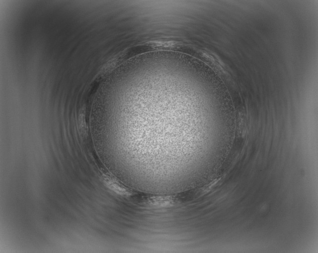 X0000082980377200702160004