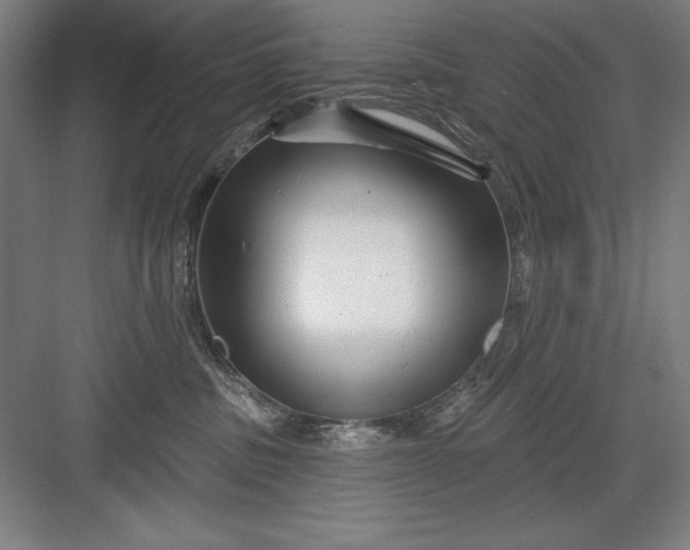 X0000082980379200702160004