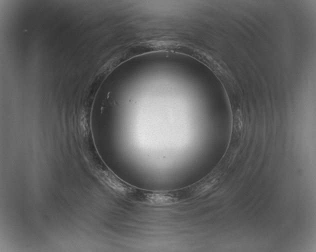 X0000082980380200702160004